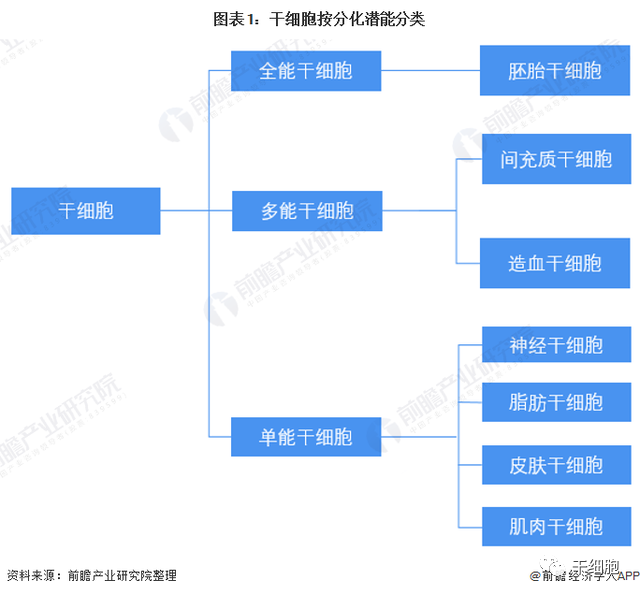 《2022年中国干细胞医疗产业全景图谱》(附市场规模、竞争格