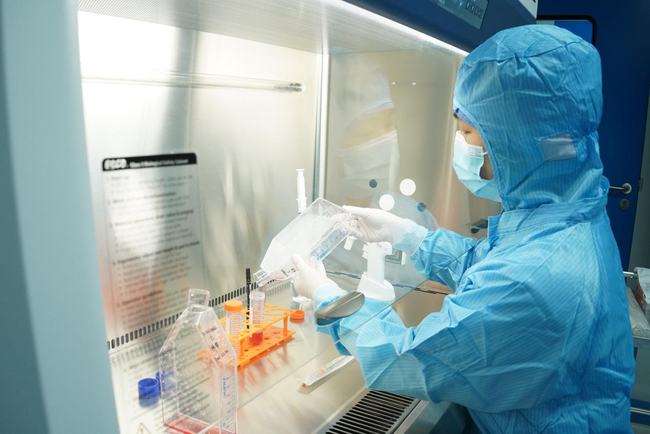 北京卫健委：2021年做好干细胞、体细胞临床研究机构和项目备